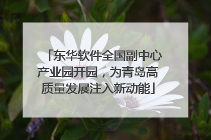 东华软件全国副中心产业园开园，为青岛高质量发展注入新动能