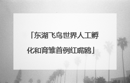 东湖飞鸟世界人工孵化和育雏首例红嘴鸥