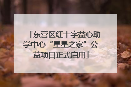 东营区红十字益心助学中心“星星之家”公益项目正式启用