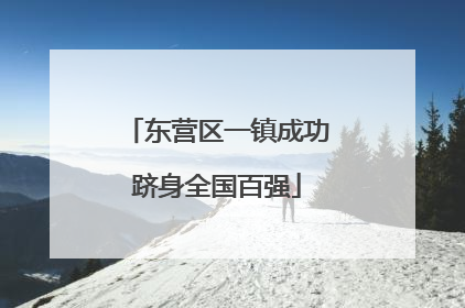 东营区一镇成功跻身全国百强