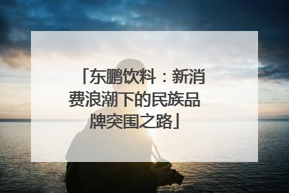东鹏饮料：新消费浪潮下的民族品牌突围之路
