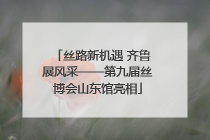 丝路新机遇 齐鲁展风采——第九届丝博会山东馆亮相