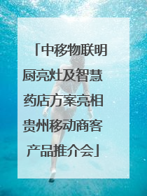中移物联明厨亮灶及智慧药店方案亮相贵州移动商客产品推介会