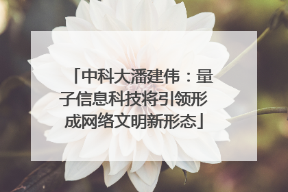 中科大潘建伟：量子信息科技将引领形成网络文明新形态