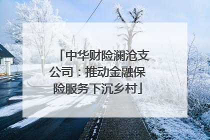 中华财险澜沧支公司：推动金融保险服务下沉乡村