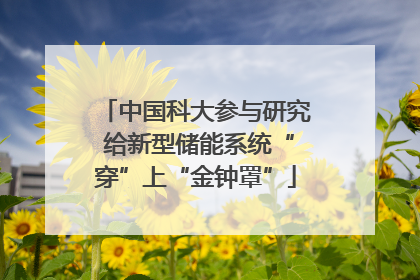 中国科大参与研究 给新型储能系统“穿”上“金钟罩”