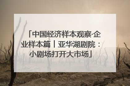 中国经济样本观察·企业样本篇︱亚华湖剧院：小剧场打开大市场