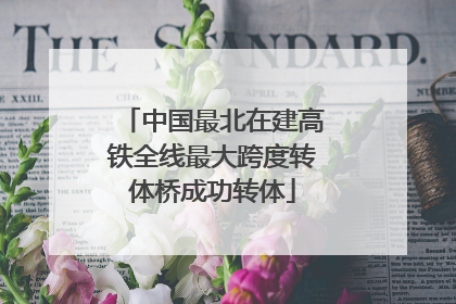中国最北在建高铁全线最大跨度转体桥成功转体