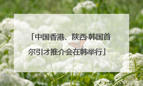 中国香港、陕西·韩国首尔引才推介会在韩举行