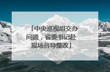 中央巡视组交办问题，省委书记赴现场督导整改