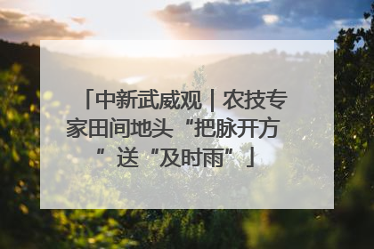 中新武威观｜农技专家田间地头“把脉开方”送“及时雨”