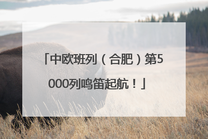中欧班列（合肥）第5000列鸣笛起航！