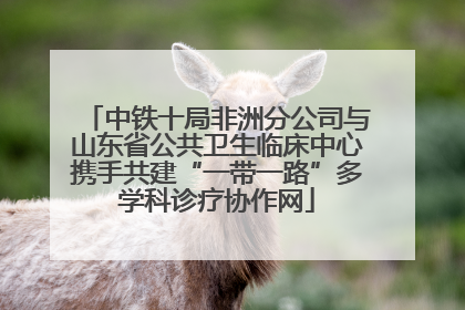中铁十局非洲分公司与山东省公共卫生临床中心携手共建“一带一路”多学科诊疗协作网