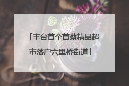 丰台首个首蔡精品超市落户六里桥街道