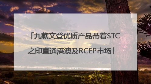 九款文登优质产品带着STC之印直通港澳及RCEP市场