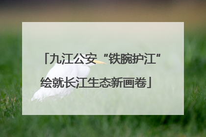 九江公安“铁腕护江”绘就长江生态新画卷