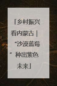 乡村振兴看内蒙古｜“沙漠蓝莓”种出紫色未来