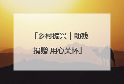 乡村振兴｜助残捐赠 用心关怀