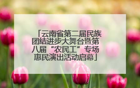 云南省第二届民族团结进步大舞台暨第八届“农民工”专场惠民演出活动启幕