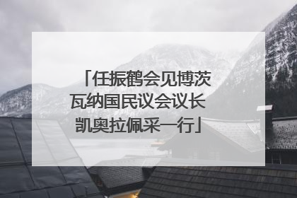 任振鹤会见博茨瓦纳国民议会议长凯奥拉佩采一行