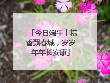 今日端午丨粽香飘春城，岁岁年年长安康
