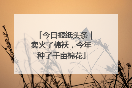 今日报纸头条｜卖火了棉袄，今年种了千亩棉花