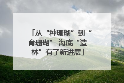 从“种珊瑚”到“育珊瑚” 海底“造林”有了新进展