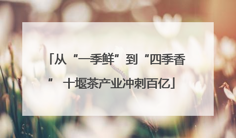 从“一季鲜”到“四季香” 十堰茶产业冲刺百亿