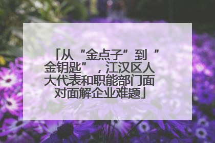 从“金点子”到“金钥匙”，江汉区人大代表和职能部门面对面解企业难题
