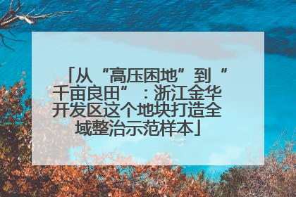 从“高压困地”到“千亩良田”：浙江金华开发区这个地块打造全域整治示范样本