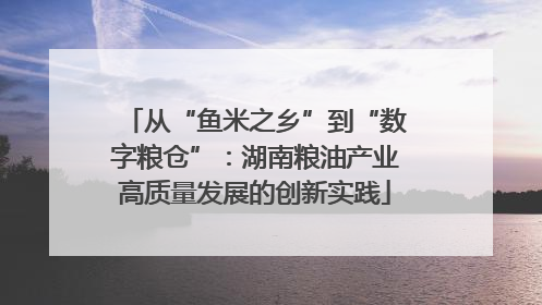 从“鱼米之乡”到“数字粮仓”：湖南粮油产业高质量发展的创新实践