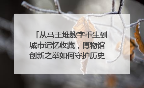 从马王堆数字重生到城市记忆收藏，博物馆创新之举如何守护历史、连接未来？