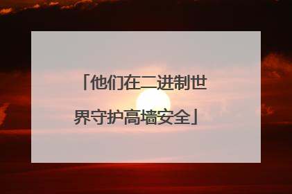 他们在二进制世界守护高墙安全
