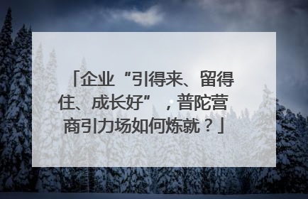 企业“引得来、留得住、成长好”，普陀营商引力场如何炼就？