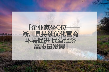 企业家坐C位——淅川县持续优化营商环境促进 民营经济高质量发展