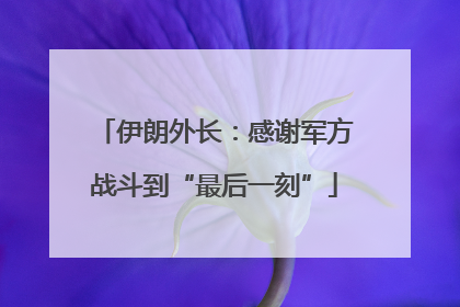 伊朗外长：感谢军方战斗到“最后一刻”