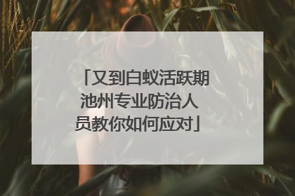 又到白蚁活跃期 池州专业防治人员教你如何应对