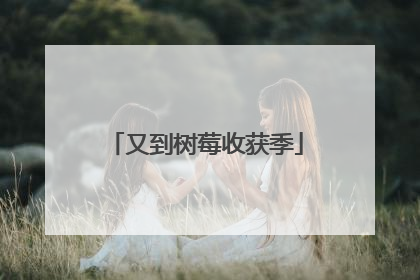 又到树莓收获季