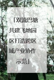 双流巴塘共建飞地园区打造跨区域产业协作示范