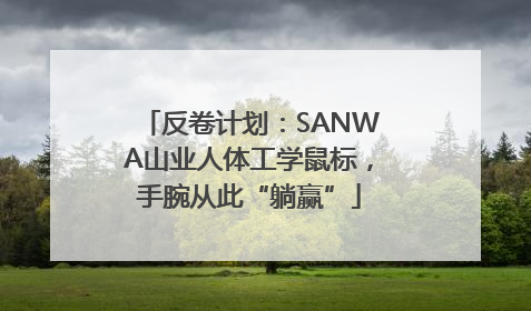 反卷计划：SANWA山业人体工学鼠标，手腕从此“躺赢”