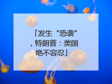 发生“恐袭”，特朗普：美国绝不容忍