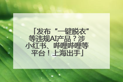 发布“一键脱衣”等违规AI产品？涉小红书、哔哩哔哩等平台！上海出手