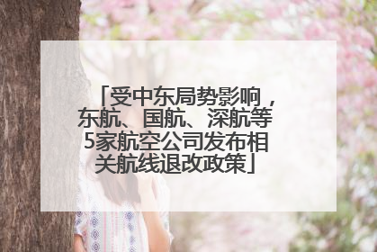 受中东局势影响，东航、国航、深航等5家航空公司发布相关航线退改政策