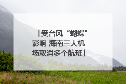 受台风“蝴蝶”影响 海南三大机场取消多个航班
