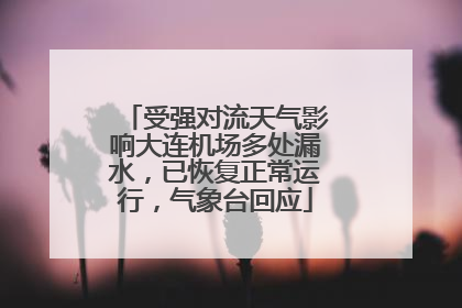 受强对流天气影响大连机场多处漏水，已恢复正常运行，气象台回应