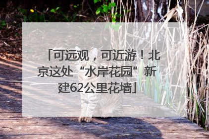 可远观，可近游！北京这处“水岸花园”新建62公里花墙