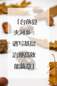 台前县夹河乡：谱写基层治理高效能篇章