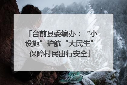 台前县委编办：“小设施”护航“大民生” 保障村民出行安全