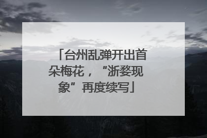 台州乱弹开出首朵梅花，“浙婺现象”再度续写
