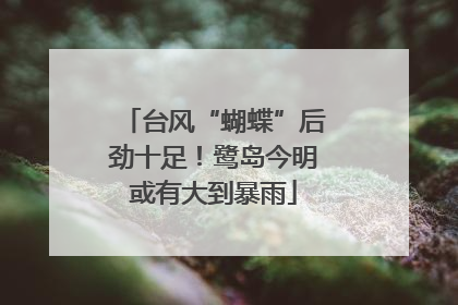 台风“蝴蝶”后劲十足！鹭岛今明或有大到暴雨